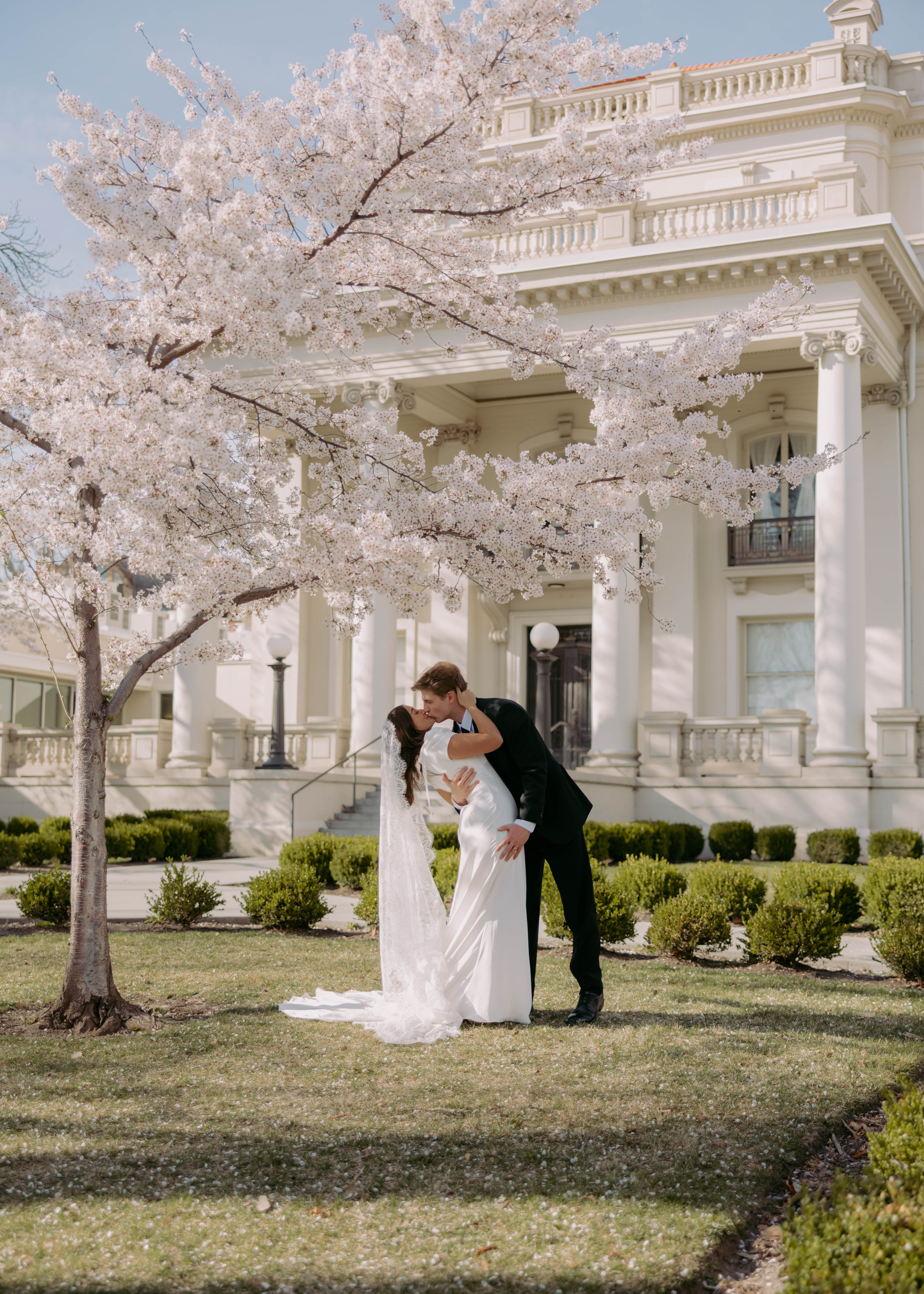 Wedding portfolio photo